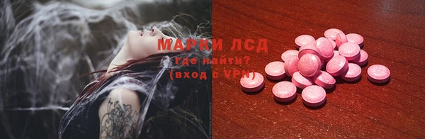 шишки Баксан