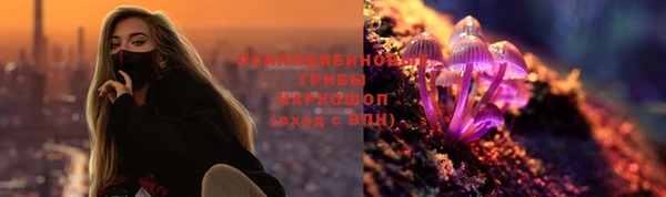 шишки Баксан