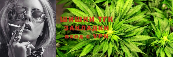 шишки Баксан