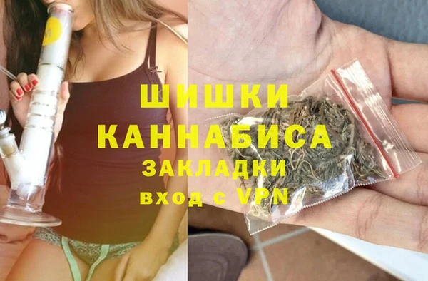 шишки Баксан